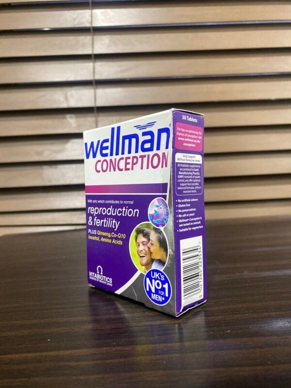 Wellman Conception - Image 3