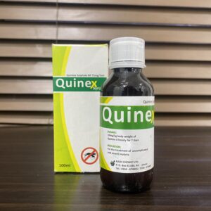 Quinex Syrup