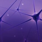neurons