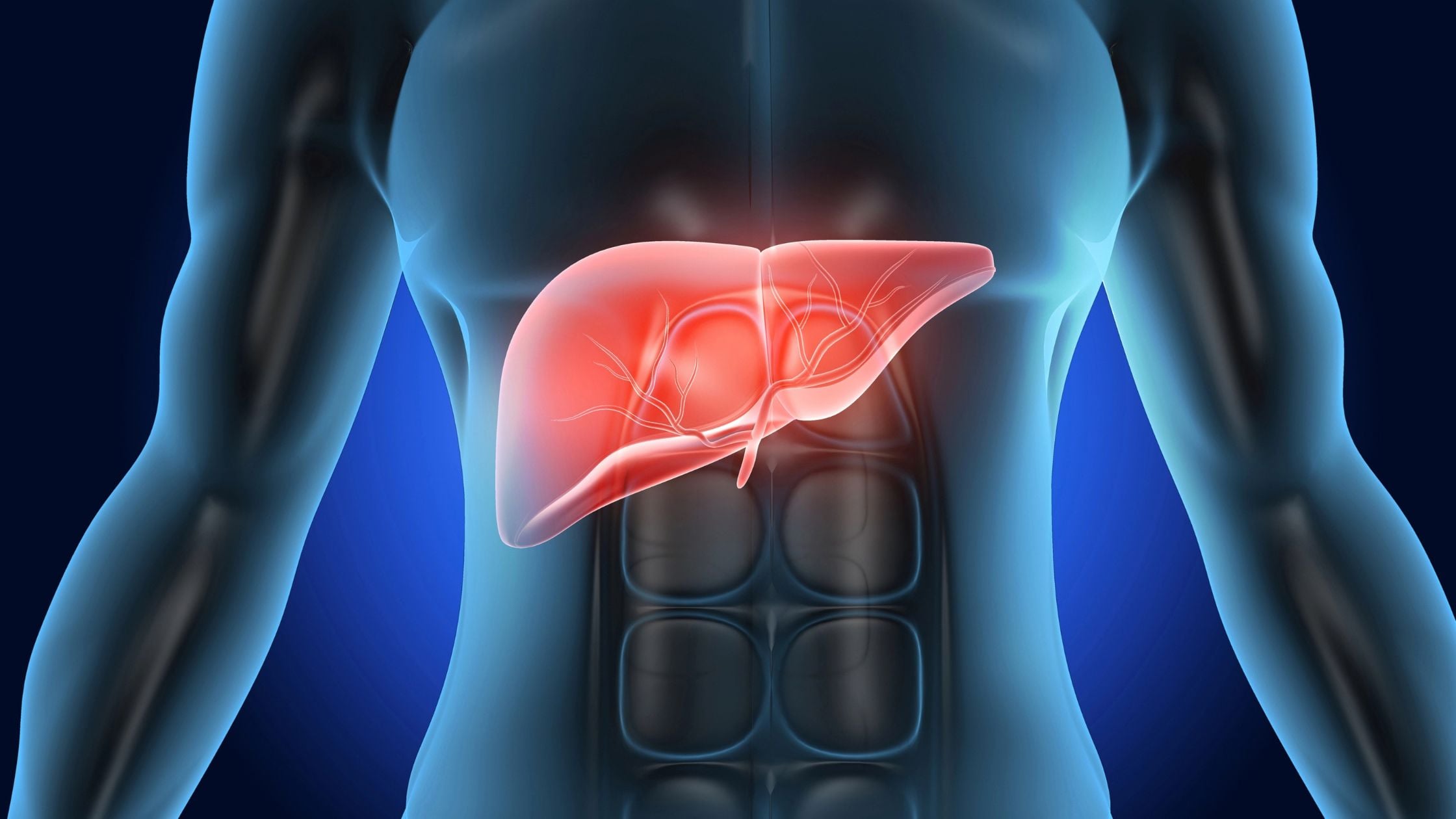 Liver Cancer Awareness Month: Learn About Liver Cancers